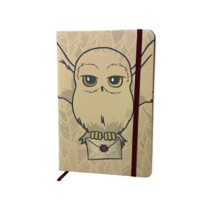 Harry Potter Gadget - Ballpoint Pen and Hedwig Diary Box with Hogwarts Acceptance Letter