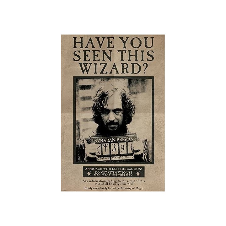 Die Plakate von Sirius, Quibbler,...