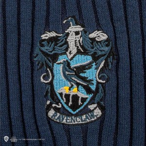 Der Ravenclaw-Quidditch-Pullover