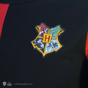 Harry Potter's Triwizard Tournament Gryffindor shirt