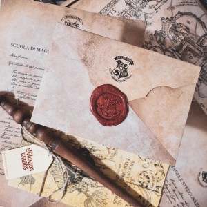 Admission letter and wooden craftsmanship Wand