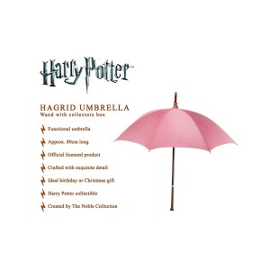 Das Hagrids Regenschirm