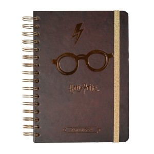 Harry Potter's agenda with rings