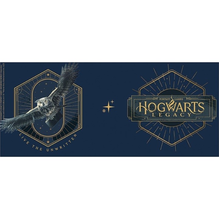Gadget Harry Potter - Tazza Hogwarts Legacy Portkey Games