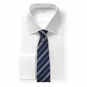 Ravenclaw Deluxe Tie with brooch