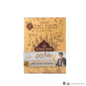 Harry Potter Calendario Avvento