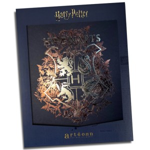 Stampa Hogwarts Artéonn con cetificato firmata da Artur Weasley