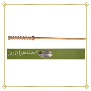 Bacchetta Magica firmata da Artur Weasley