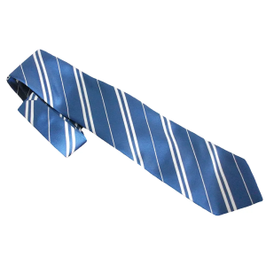 Harry Potter Cravatta Corvonero – Replica Originale Indossata nei Film