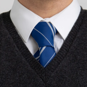 Harry Potter Cravatta Corvonero – Replica Originale Indossata nei Film