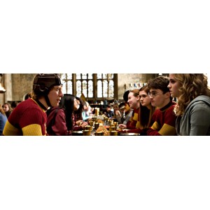 Maglione quidditch Grifondoro – Replica Originale Indossata nei Film