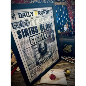 Quadro lenticolare Harry Potter Daily Prophet