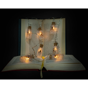 Die Harry Potter LED- Lichterkette in Wizarding World Glasflaschen