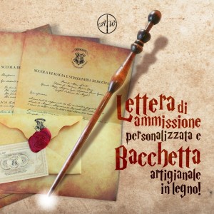 Admission letter and wooden craftsmanship Wand