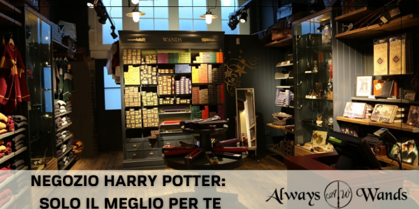Negozio Harry Potter: solo il meglio per te