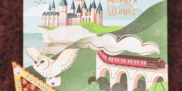 Mystery Box Harry Potter EXCLUSIVE con 10 gadget e bacchetta: magia e collezionismo unico