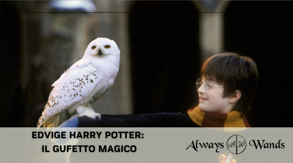 Edvige Harry Potter: il gufetto magico
