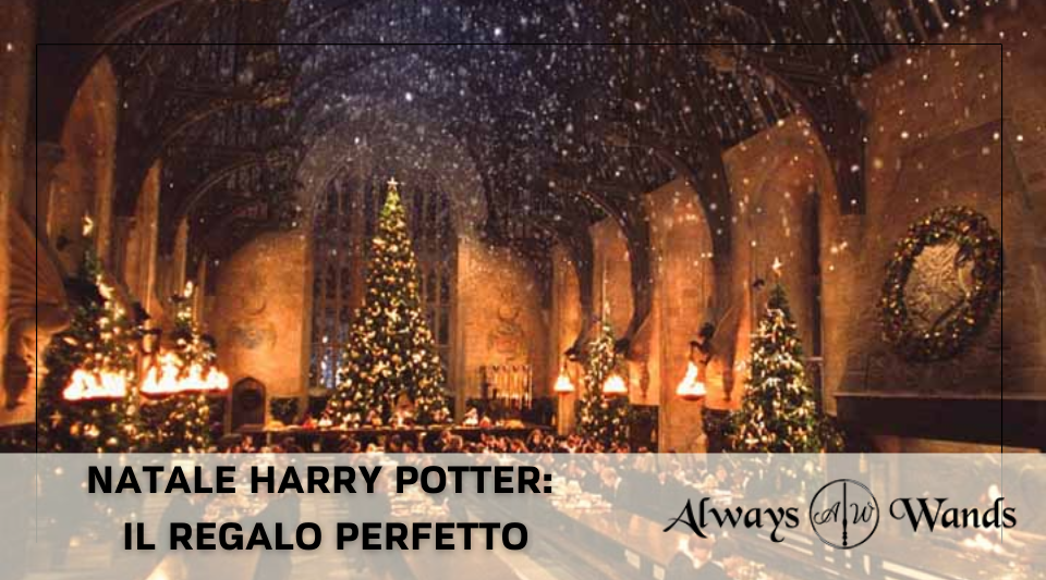 Natale Harry Potter: il regalo perfetto